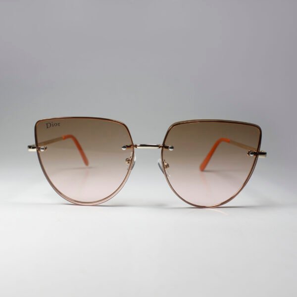 DIOR CANNAGE S1U