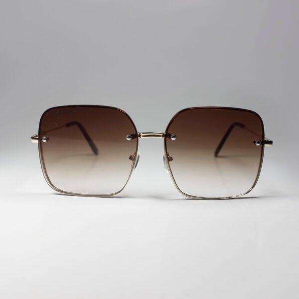 DIOR CANNAGE S1U