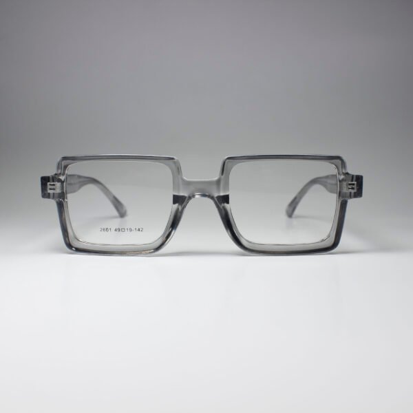 Winston – Bold Acetate Frame with Spring Hinge
