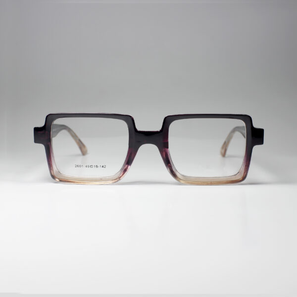 Winston – Bold Acetate Frame with Spring Hinge