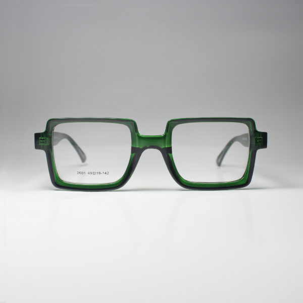 Winston – Bold Acetate Frame with Spring Hinge