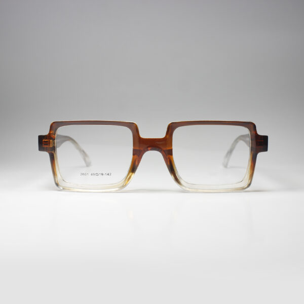 Winston – Bold Acetate Frame with Spring Hinge