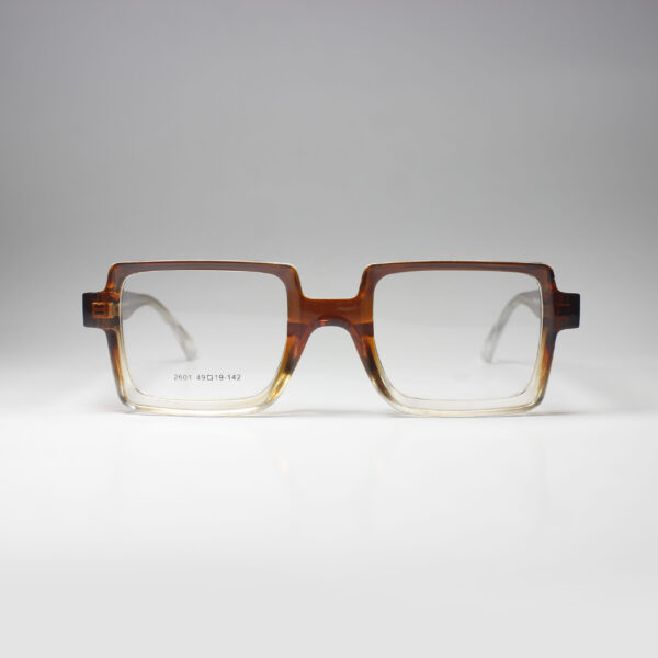 Winston – Bold Acetate Frame with Spring Hinge