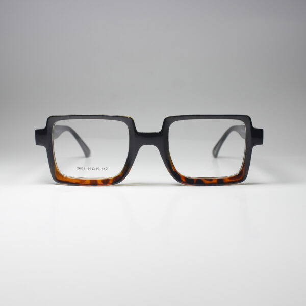 Winston – Bold Acetate Frame with Spring Hinge