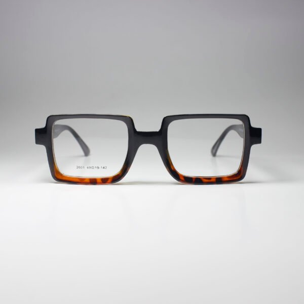 Winston – Bold Acetate Frame with Spring Hinge