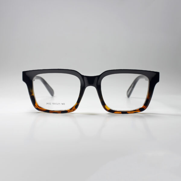 Winston – Bold Acetate Frame with Spring Hinge