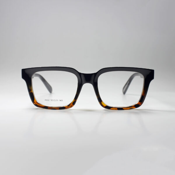 Winston – Bold Acetate Frame with Spring Hinge