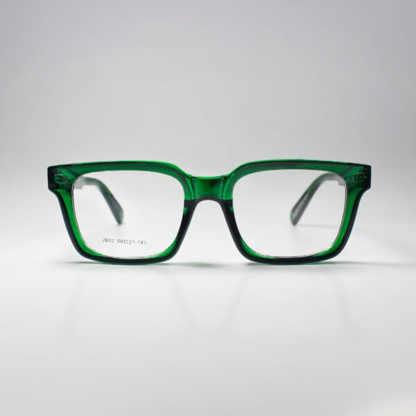 Winston – Bold Acetate Frame with Spring Hinge