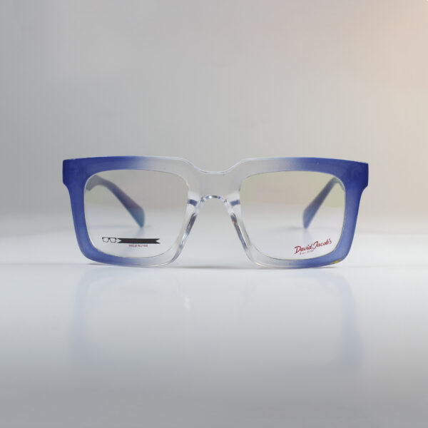 David Jacob's - Acetate sheet material with spring hinges